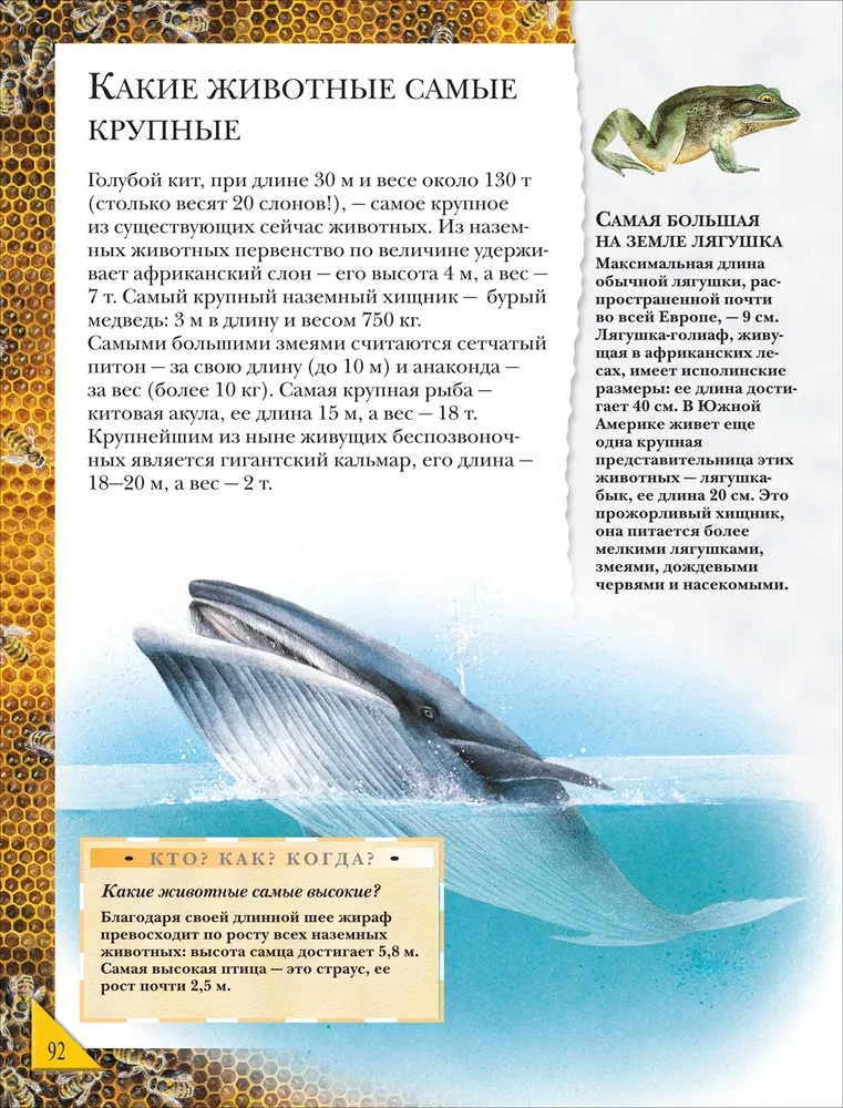 Большая энциклопедия школьника. Книга вопросов и ответов