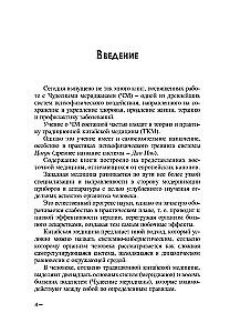 Восемь чудесных меридианов. Двести золотых рецептов