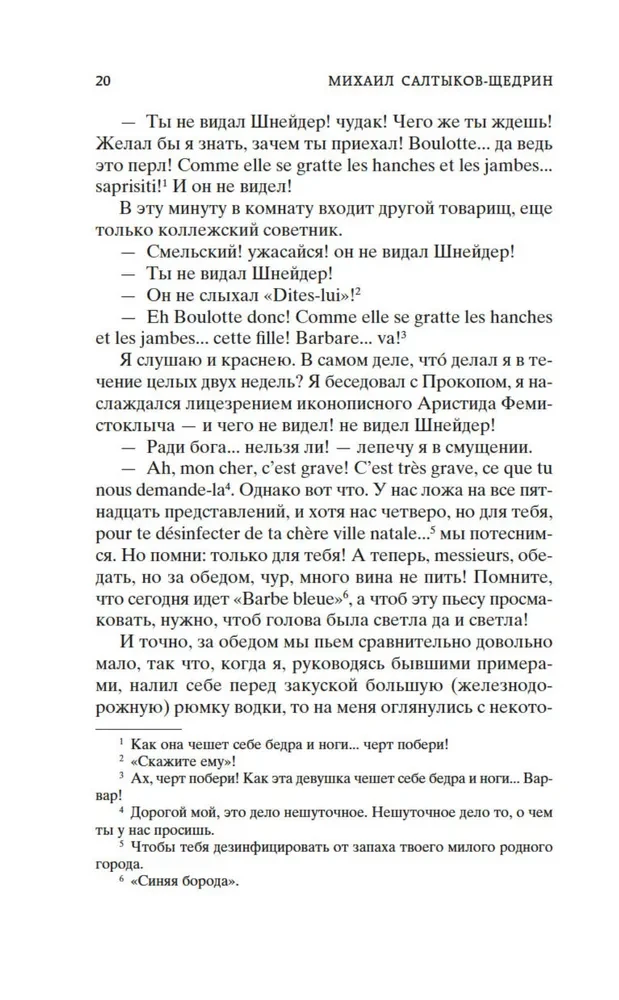 Дневник провинциала в Петербурге