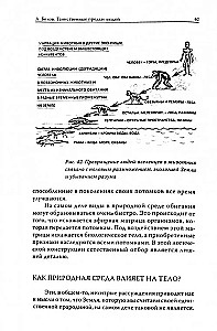 Таинственные предки людей. Космобожественная теория появления человека на Земле
