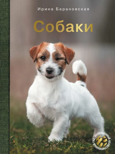 Suņi