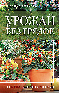 Raža bez dobēm. Dārzs konteineros