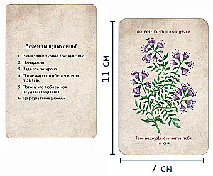 Цветочные предсказательные карты. Флирт цветов (60 карт)
