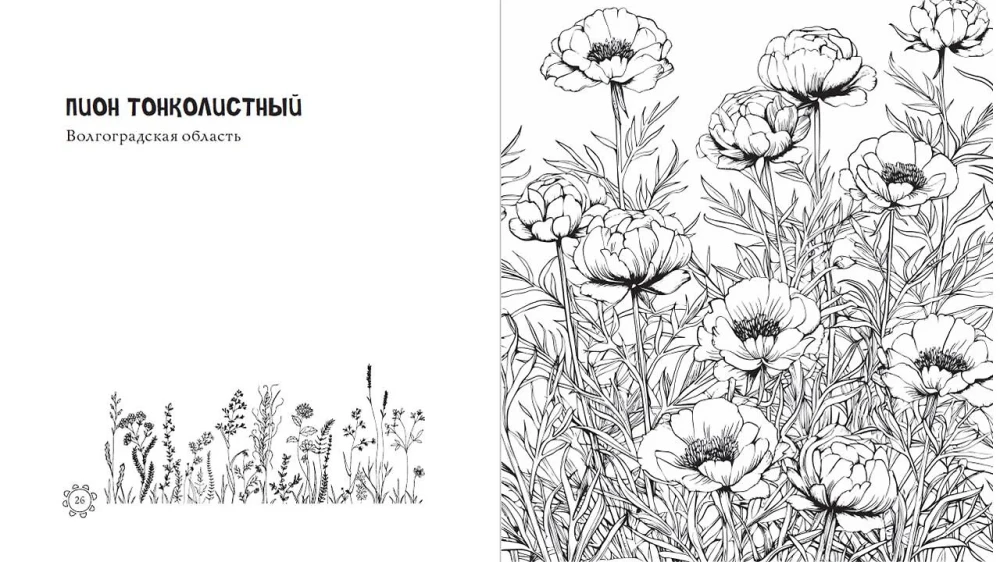 Чарующие краски России. Страницы нежности и красоты