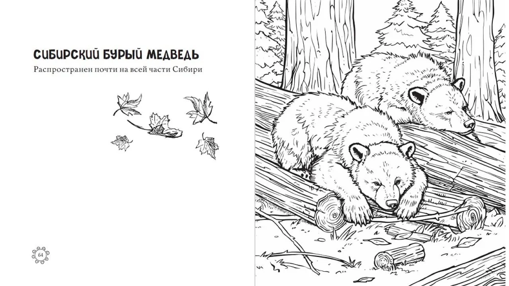 Чарующие краски России. Страницы нежности и красоты