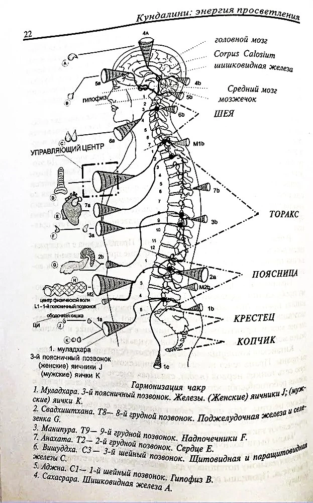 Кундалини: Энергия просветления