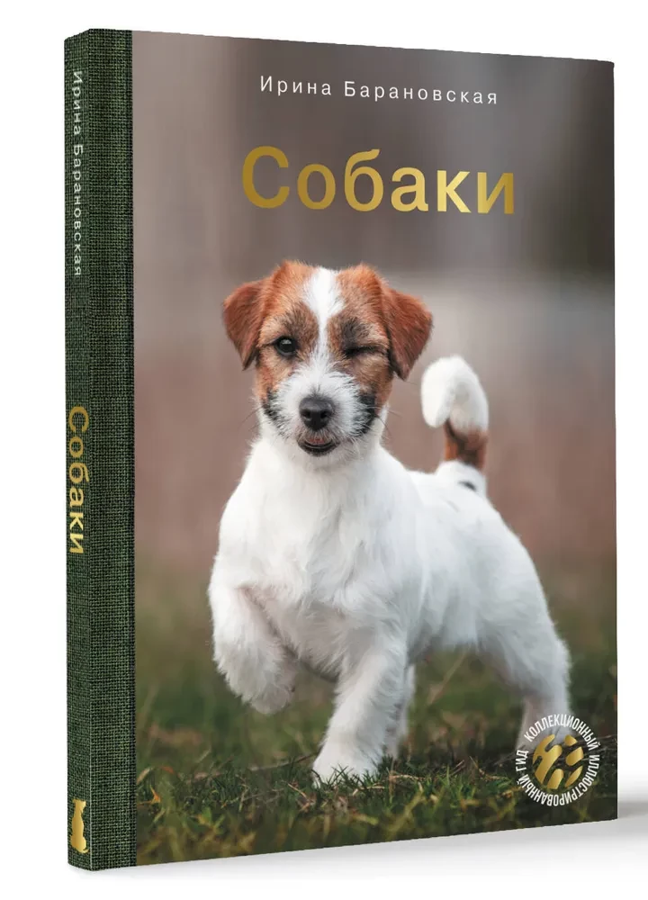 Suņi