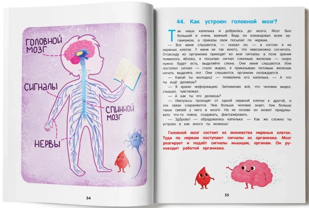 Kā ir iekārtots cilvēks. Enciklopēdija mazajiem pasakās