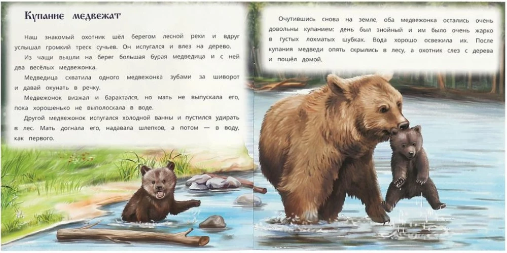 Хитрый лис и умная уточка