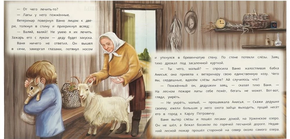 Заячьи лапы