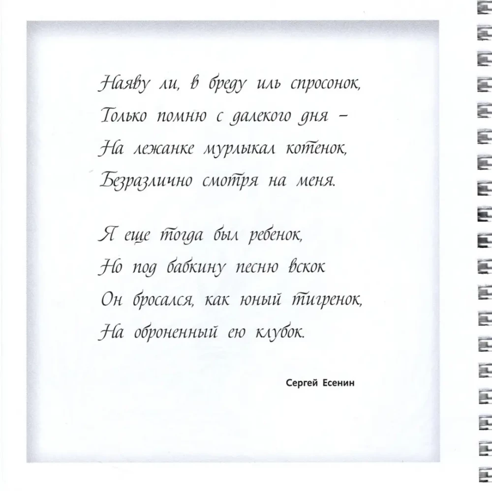 Krāsošana Relaksācija Kaķu burvība