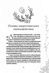 Настольная книга лесной ведьмы