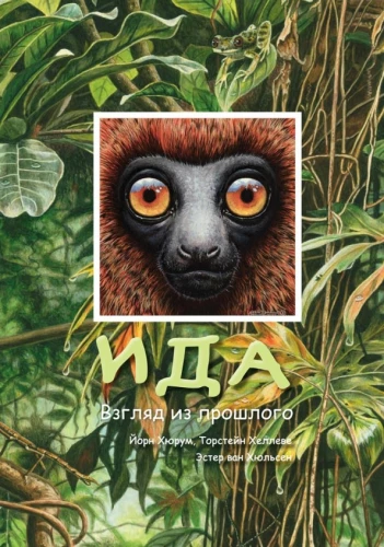 Ida. Skats no pagātnes