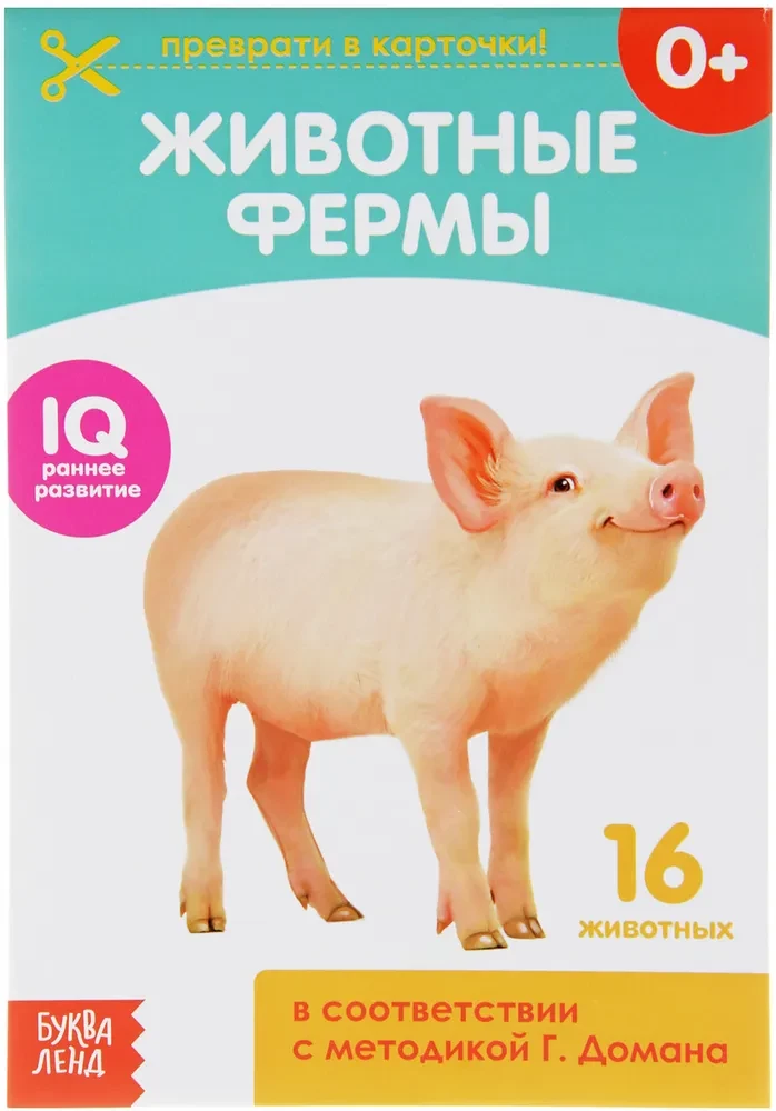 Domana kartītes uz skavas