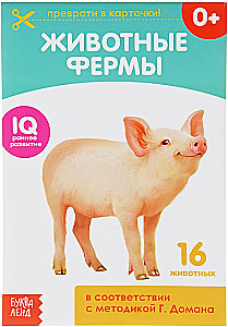 Domana kartītes uz skavas