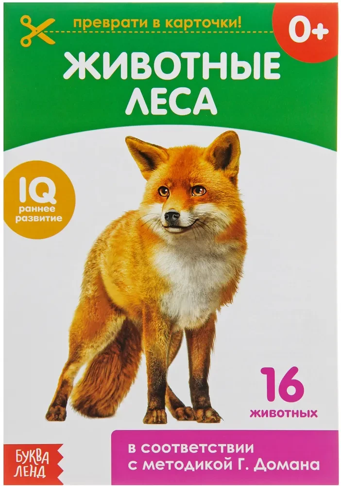 Domana kartītes uz skavas