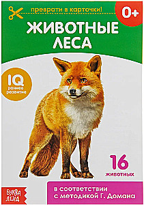 Domana kartītes uz skavas