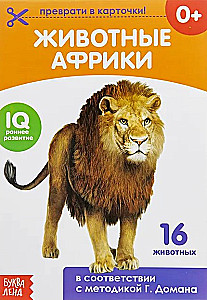 Domana kartītes uz skavas