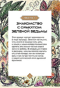 Zaļā ragana. Orākuls. Atklājiet dabiskās maģijas spēku un gudrību (50 kartes un ceļvedis)