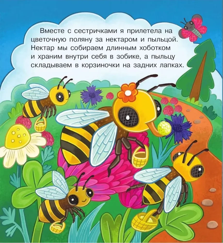 В гостях у пчёлки Жужи