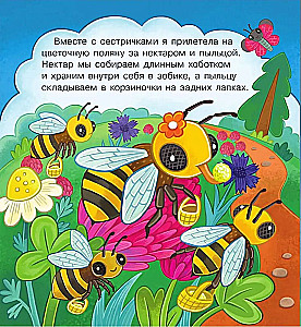 В гостях у пчёлки Жужи