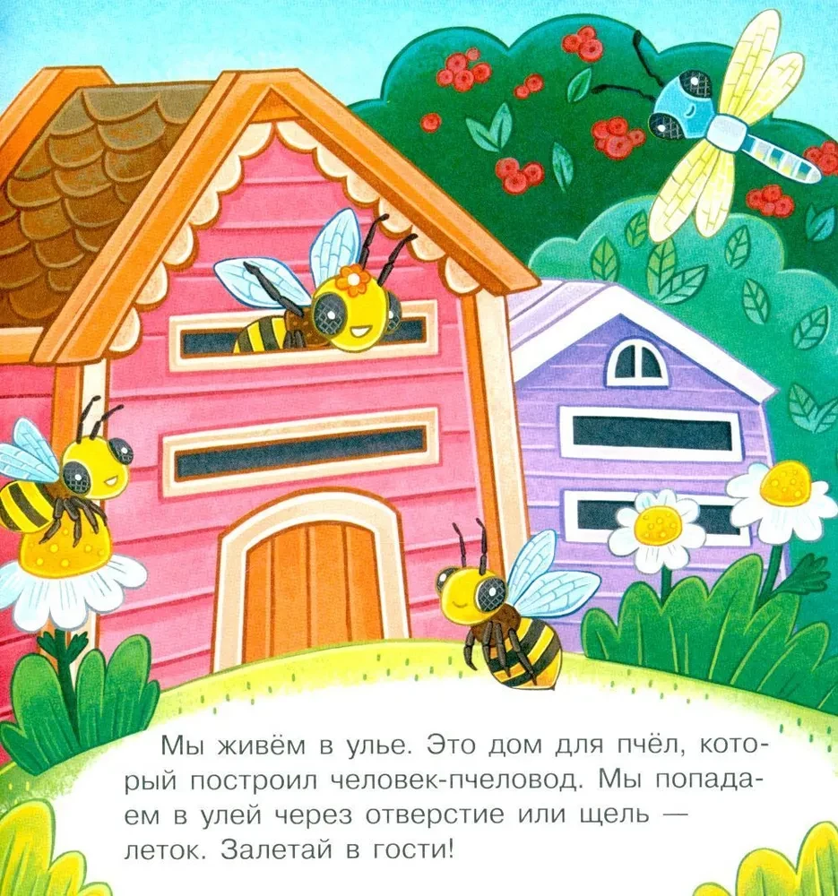 В гостях у пчёлки Жужи