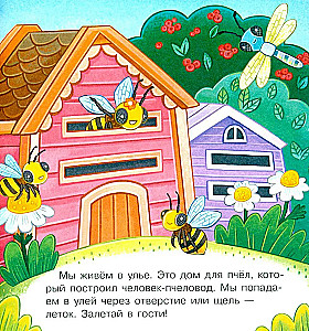 В гостях у пчёлки Жужи