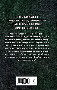 Хозяйка старого дома