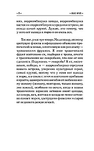 NebeSno, zlodēja