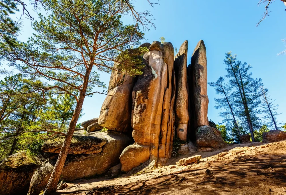 Puzle - Via Terra. Klints Pērtiķis