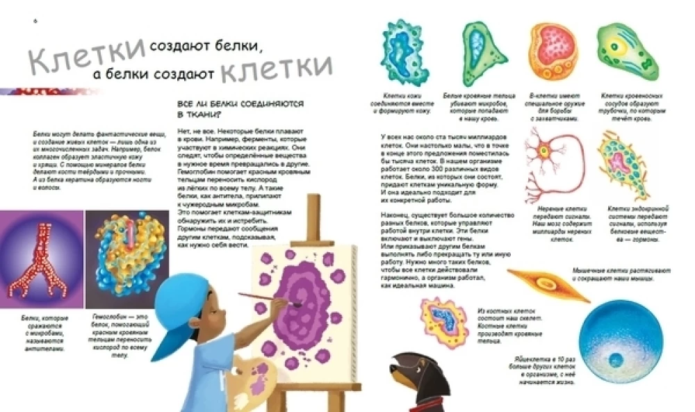 X un Y, meitene vai zēns?