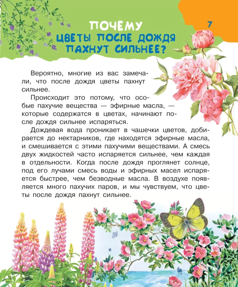 Kāpēc un kādēļ. Visinteresantākie bērnu jautājumi