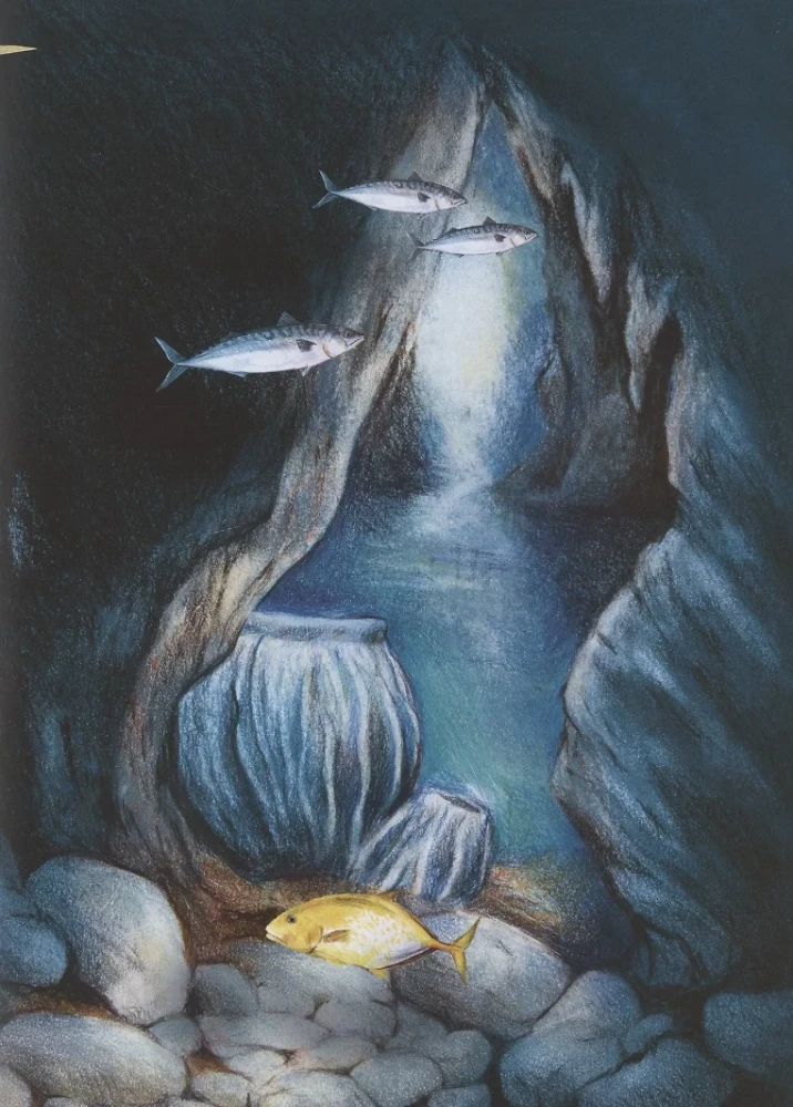 Dabas brīnums. Jūras sūkļa stāsts