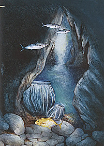 Dabas brīnums. Jūras sūkļa stāsts
