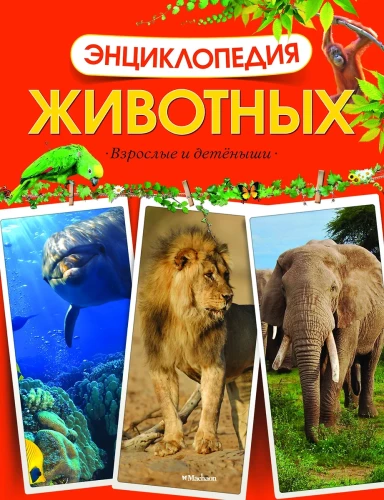Энциклопедия животных. Взрослые и детёныши