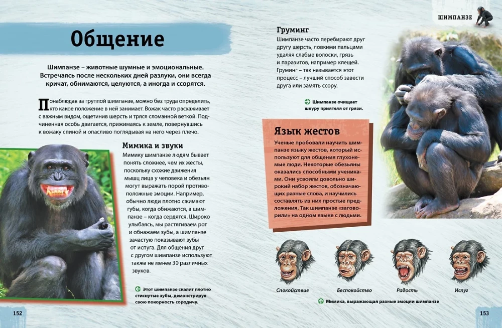 Dzīvnieku enciklopēdija. Pieaugušie un mazuļi