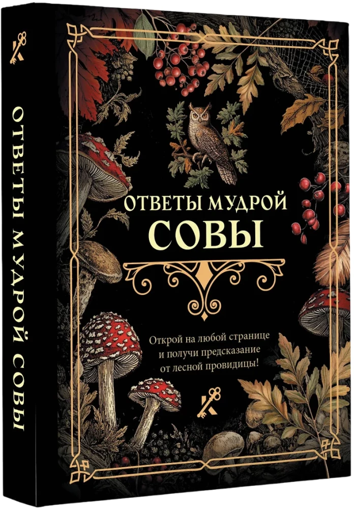 Ответы мудрой совы
