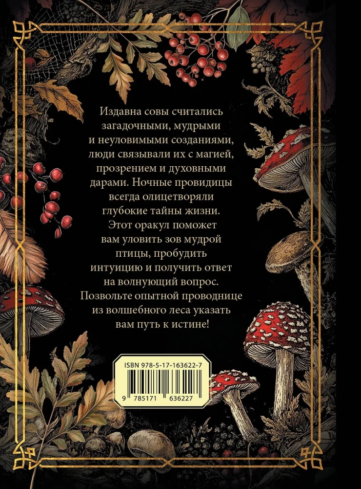 Ответы мудрой совы