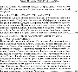 История ислама. От доисламской истории арабов до падения династии Аббасидов в XVI веке