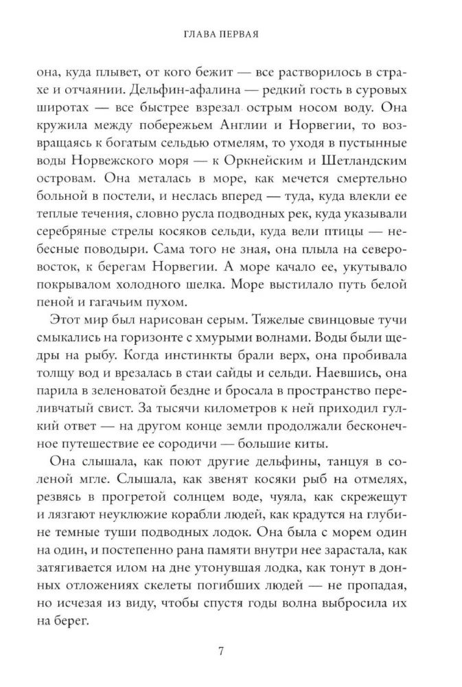 Печать Магуса. Дженни Далфин и Скрытые земли. Книга 3