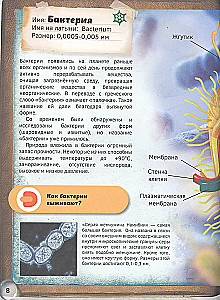 Мир под микроскопом. 4D книга