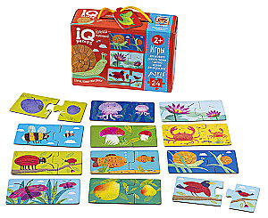 IQ spēles vismazākajiem. Pāri. Liels-maziņš. 2+. Runas uzsākšana