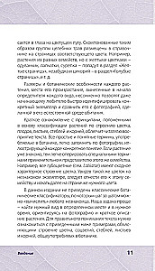 Лечебные травы. Иллюстрированный справочник-определитель