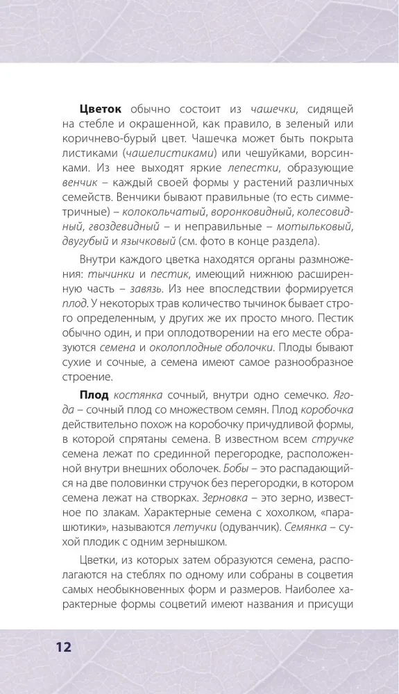 Лечебные травы. Иллюстрированный справочник-определитель