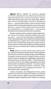 Лечебные травы. Иллюстрированный справочник-определитель