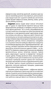 Лечебные травы. Иллюстрированный справочник-определитель