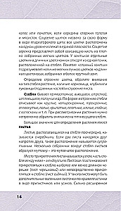 Лечебные травы. Иллюстрированный справочник-определитель