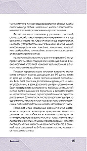 Лечебные травы. Иллюстрированный справочник-определитель