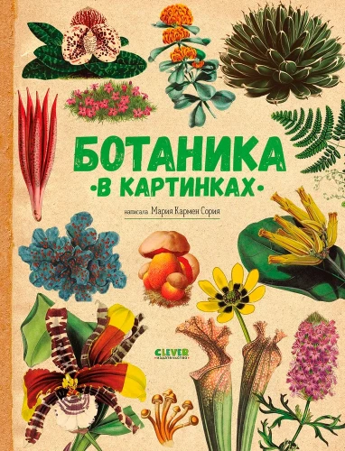 Botānika attēlos