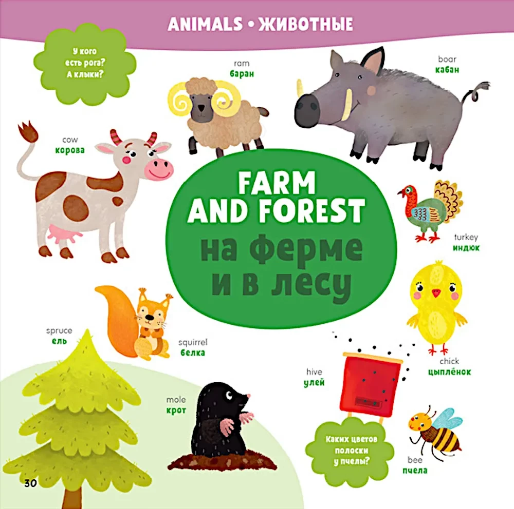 Mans pirmais angļu valoda. Mans pirmais angļu-krievu vārdnīca
